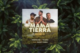 Mama Tierra Remix - Domínguez ft. Toledo